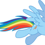 Rainbow Dash Posing