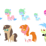 Pony Pack 40