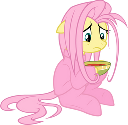 Fluttershy's Rough Morning