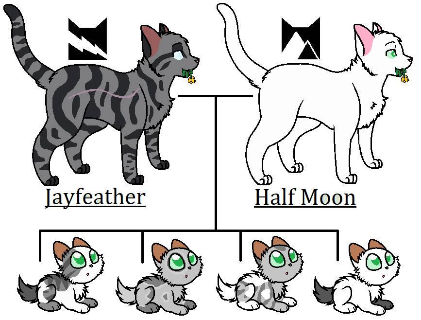 Jayfeather  Warrior cats redesign by Hikari-Hisudo on DeviantArt