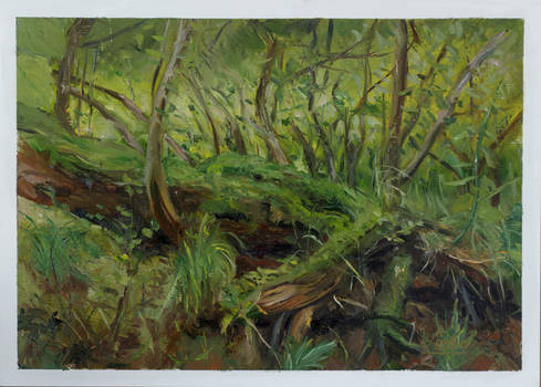 09-Landscape-Nature-Oil Painting by Csaba Tibor Pa
