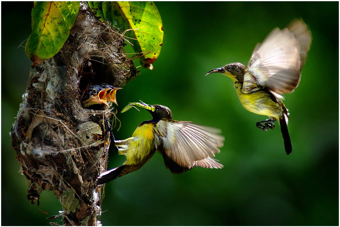 FAMILY by SAMLIM