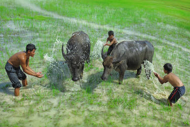 SIMPLE LIFE BUT BEAUTIFUL FAMILY