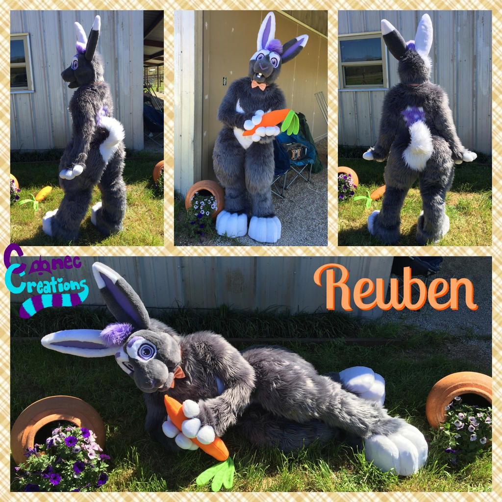 Ruben Rabbit Reuben the Rabbit by CoonecCreations on DeviantArt