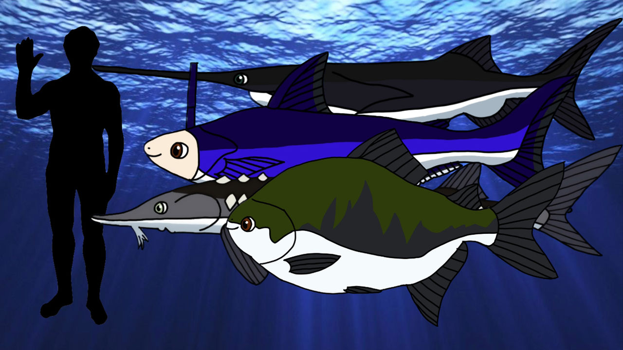 Baigor Fish Bigger fish size river water and Pacu by shark123123 on DeviantArt