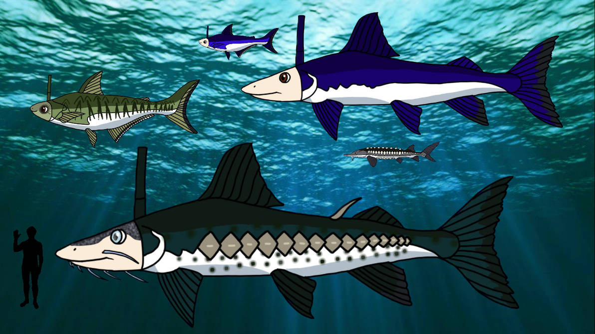 Find this is bigger size giant catfish prehistoric by shark123123 on ...