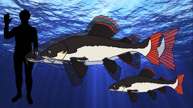 Explore the Best Redtailcatfish Art