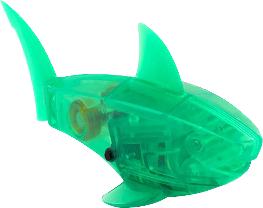 Hexbug 2024 hammerhead shark