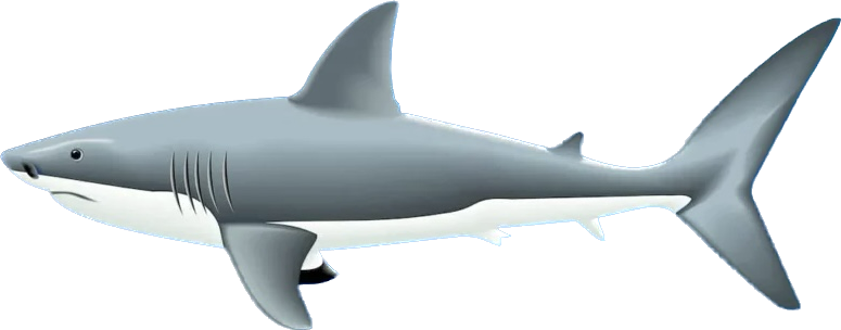 Megalodon png by shark123123 on DeviantArt