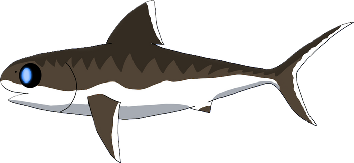 Explore the Best Silverfincodfish Art | DeviantArt