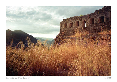 Dry herbs at Kotor fort 01