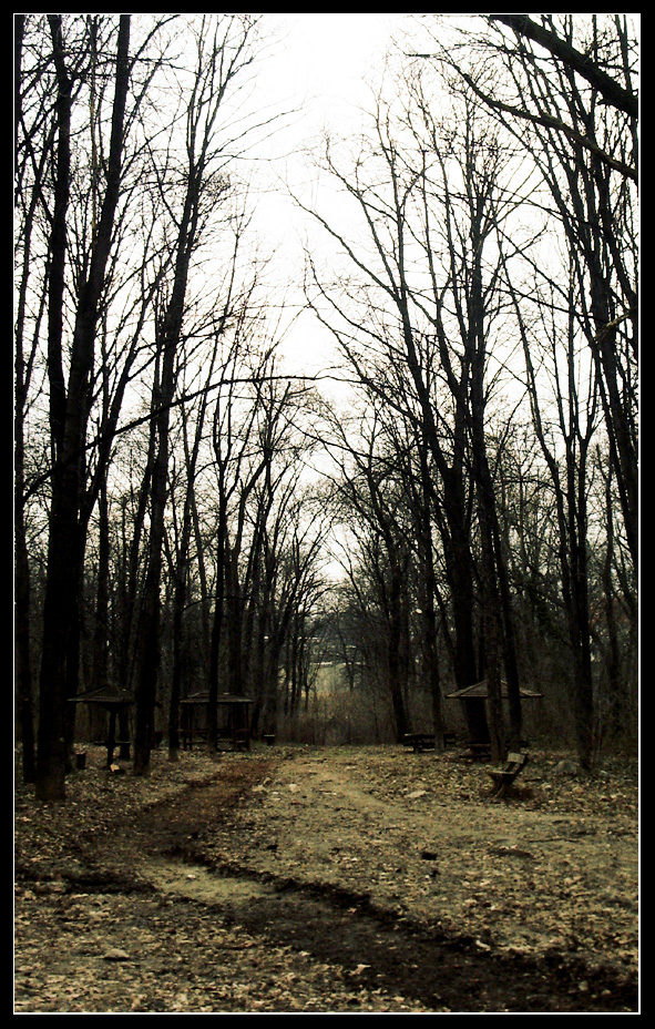 The Path 01 by ESDY