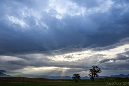 Dark Skies