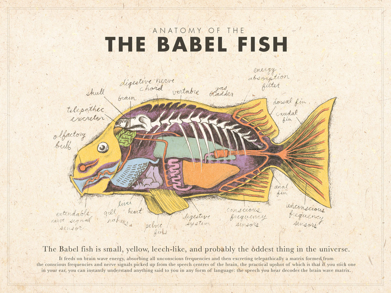 Babel Fish Poster (Color) by mrrtist21 on DeviantArt
