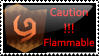 LoZ - Caution, Flammable