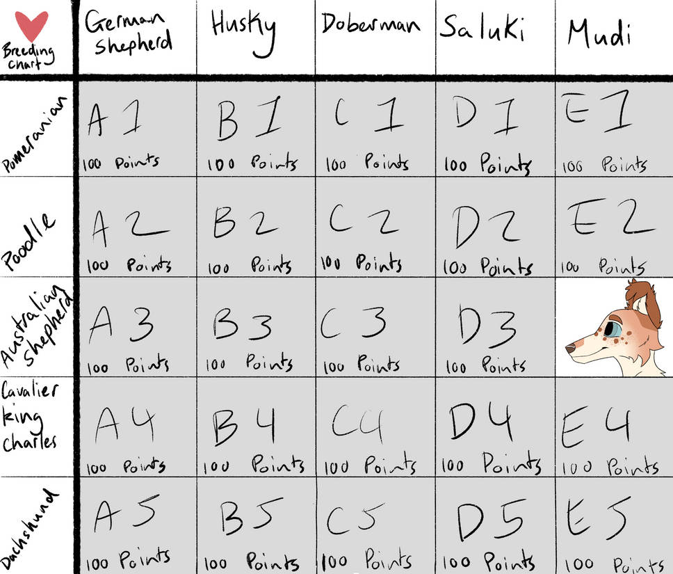 Dog Breeding Chart By Amore Demonn On DeviantArt
