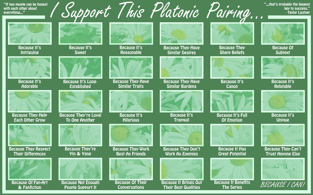 'I Support This Platonic Ship' Meme Template by Sukoshi13 on DeviantArt