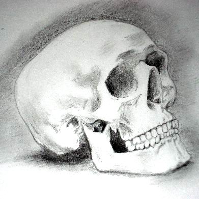 skull