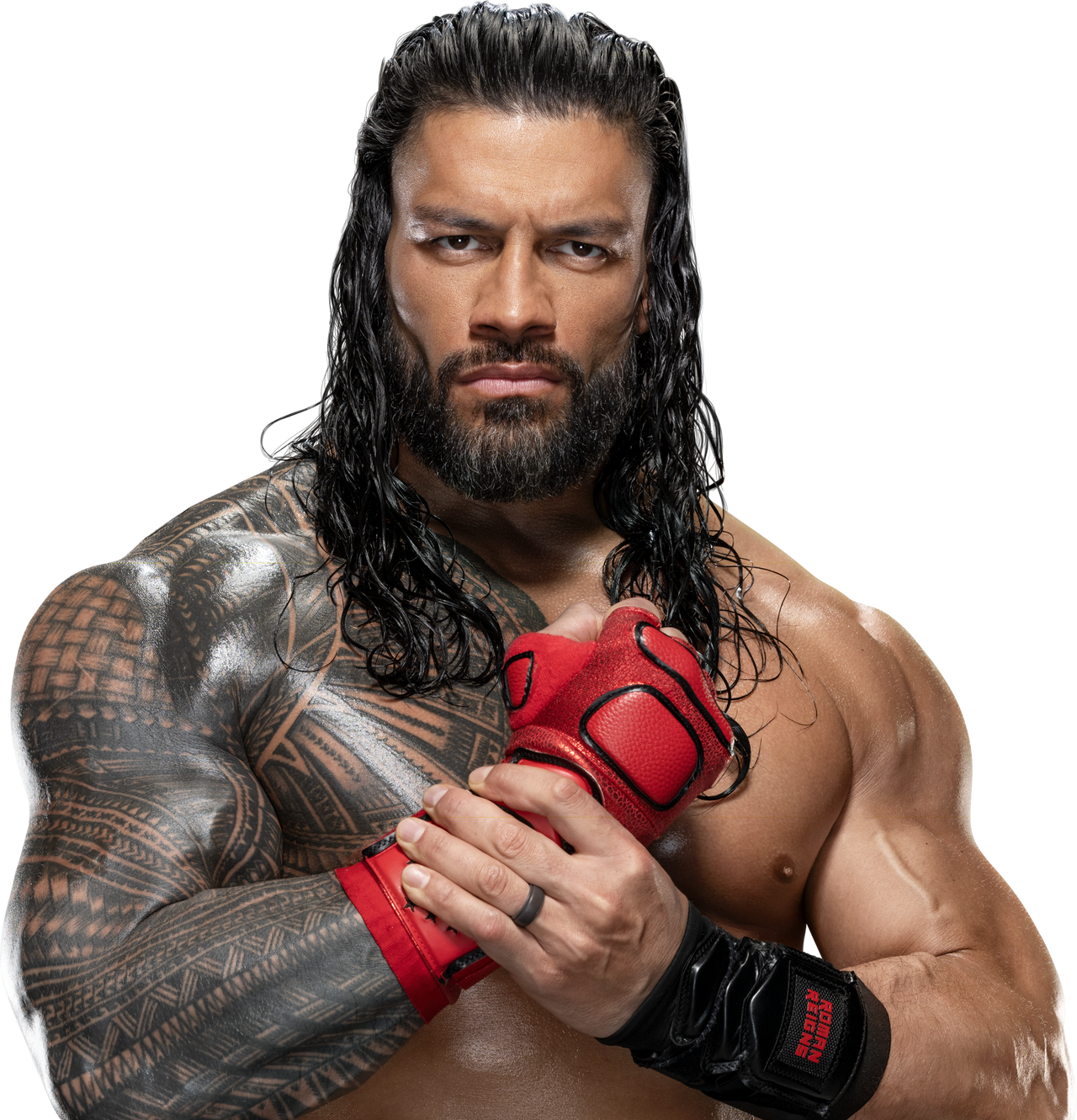 Roman Rince WWE Roman Reigns render by vlysyuk on DeviantArt