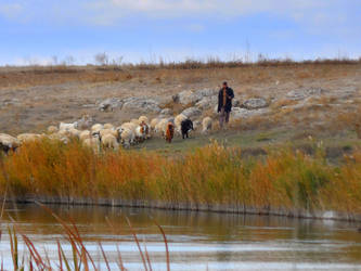 BY THE BROWN RIVER