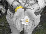 Livestrong by mc-mickey-mouse