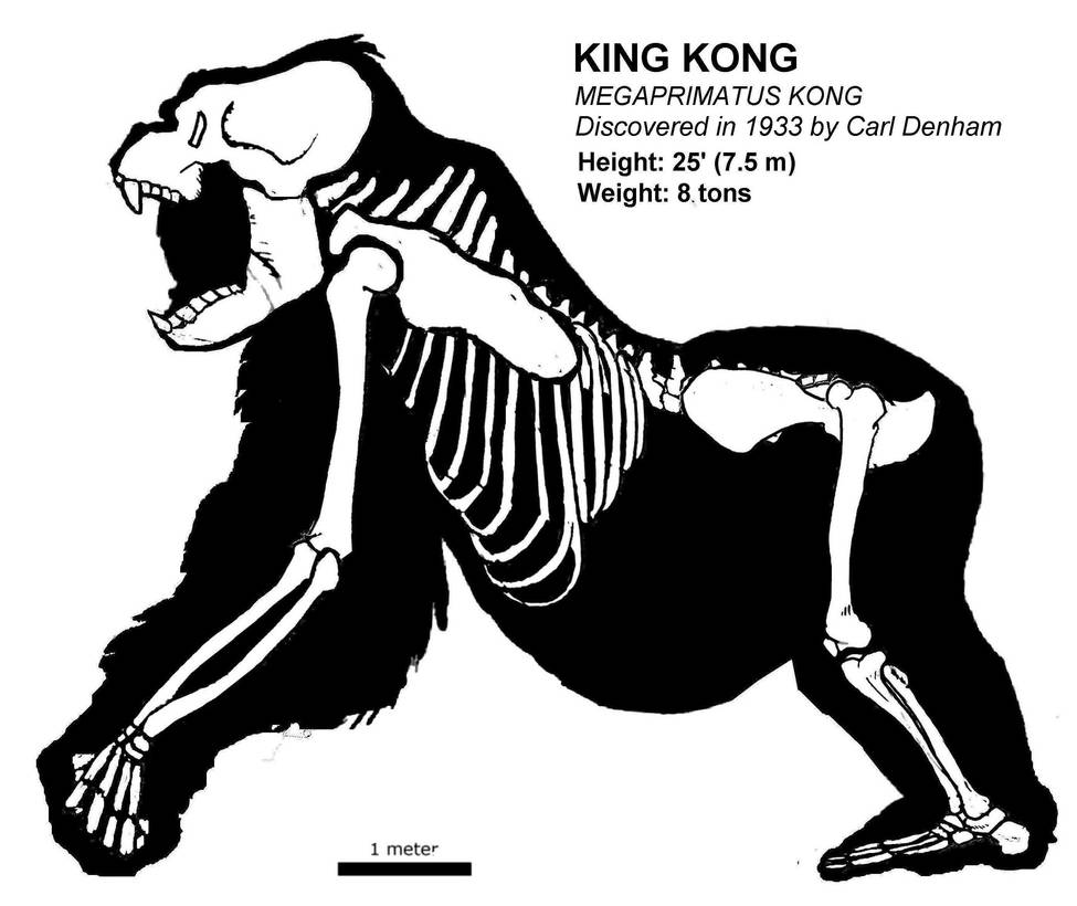 KING KONG Skeletal Megaprimatus Kong By JES86 On DeviantArt king-kong-skeletal-megaprimatus-kong-by-jes86-on-deviantart