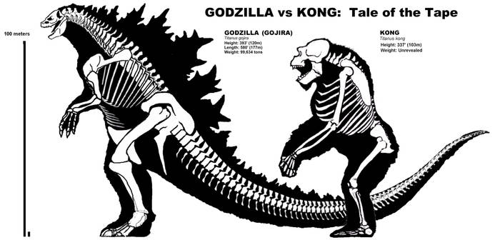 GODZILLA vs KONG  Skeletals - Tale of the Tape