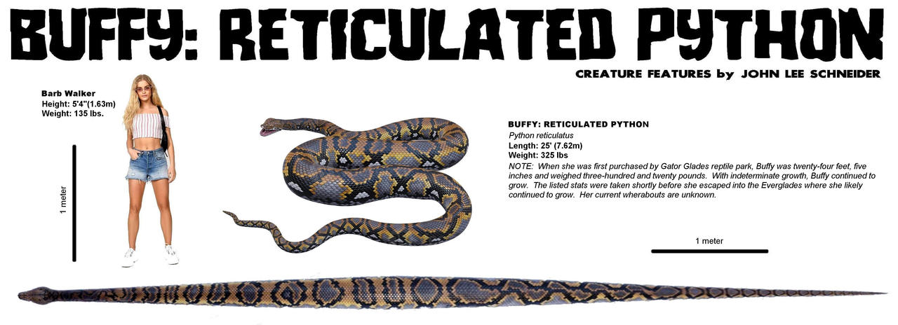 Mega Python Devintart BUFFY: RETICULATED PYTHON 3D by JES86 on DeviantArt