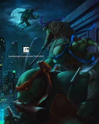 Ninja Turtles for Bottleneck gallery