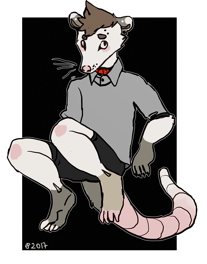 [art trade] black box opossum