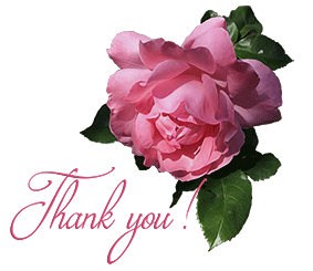 Thank-you with Rose