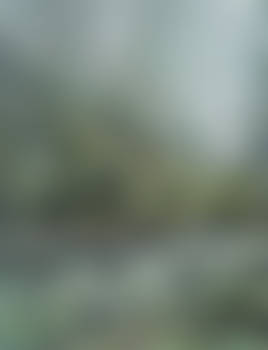 Premade background - 10-2020