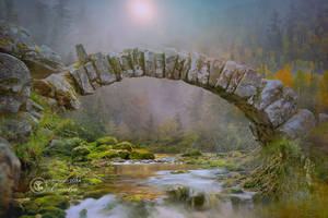 The-beauty-of-a-bridge
