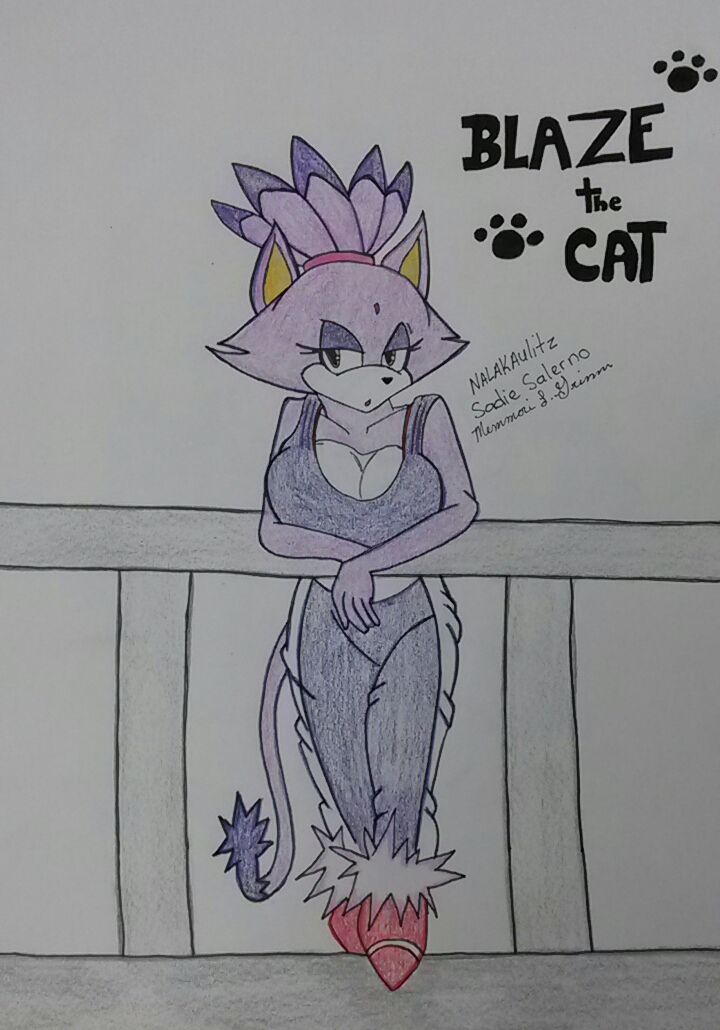 Blaze the Cat