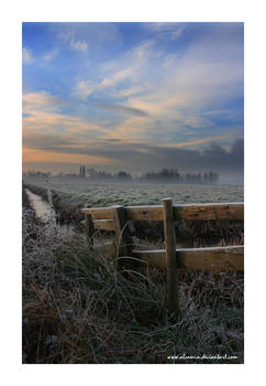 Marshland Fence