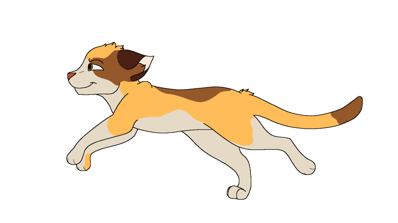 Cat Racing Gif Animated Running Cat