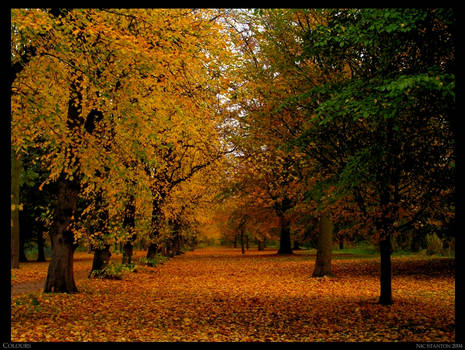 .:Autumn Colours:.