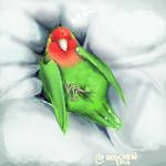 Lovebird 2 by roscheri