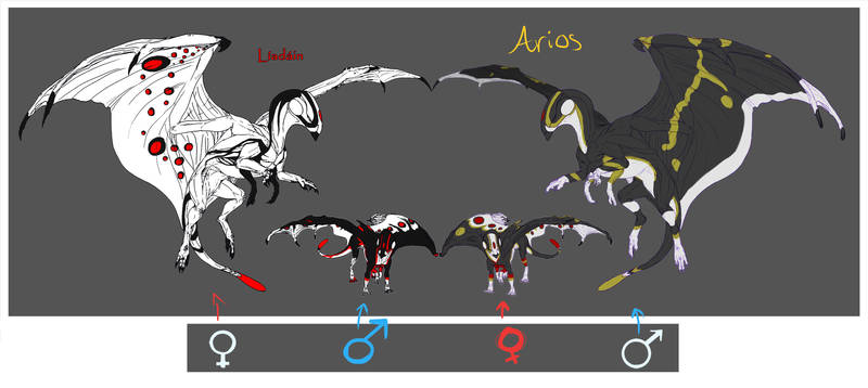 Dragon Hunter Breeding: Liadain and Arios