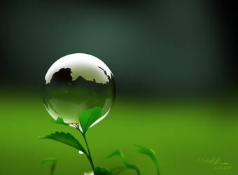 Bubble.....................