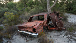 Derelict Falcon Close