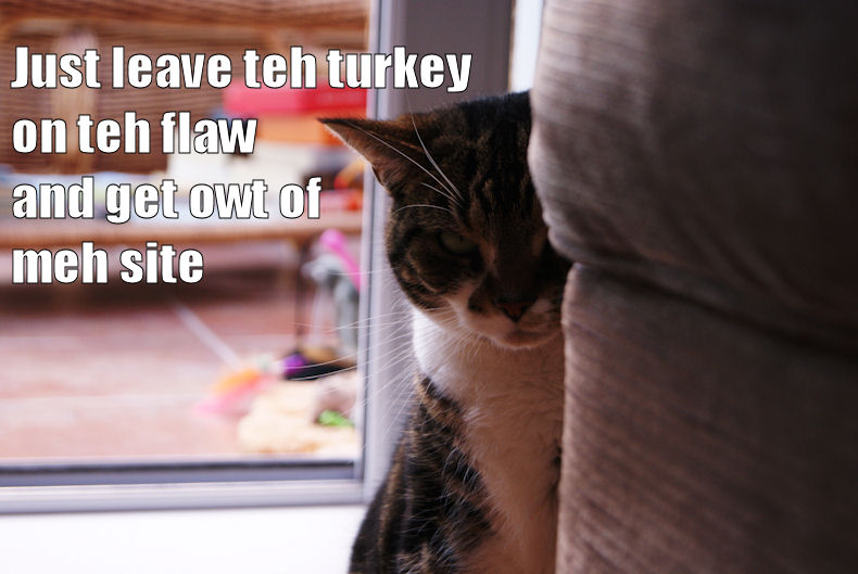 Grace lolcat