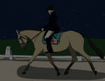 Entry by IceWolfStables