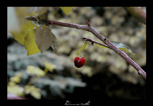 Red Tear