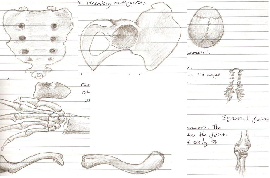 Forensic Sketches By Tonka360 On Deviantart Forensic Sketches By Tonka360 On Deviantart