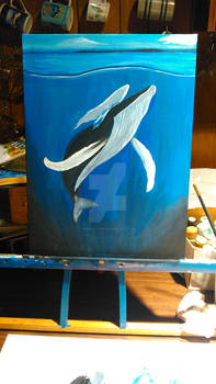 In progress humpback whales