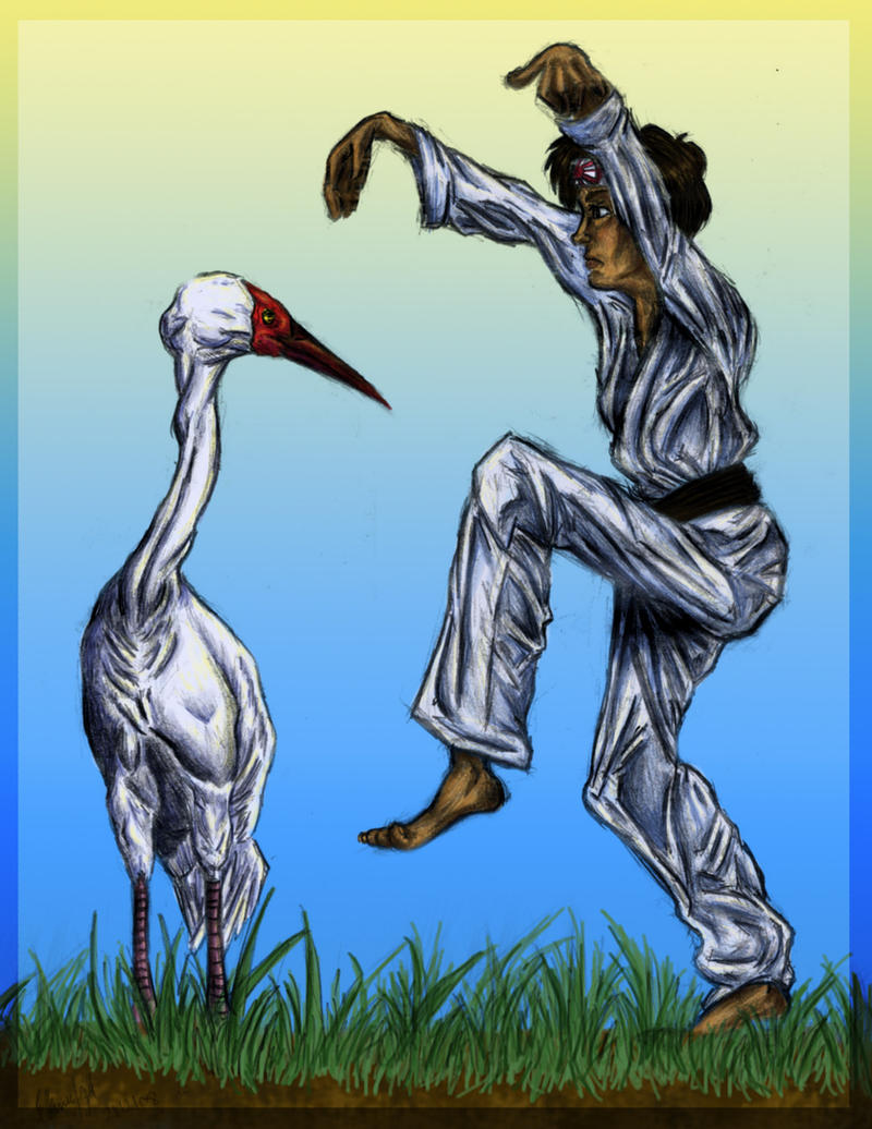 Crane Kick colour by Shmelanna on DeviantArt