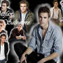 STEFAN SALVATORE WALLPAPER