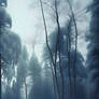 Winter Forest