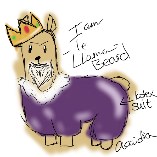 Llama King!